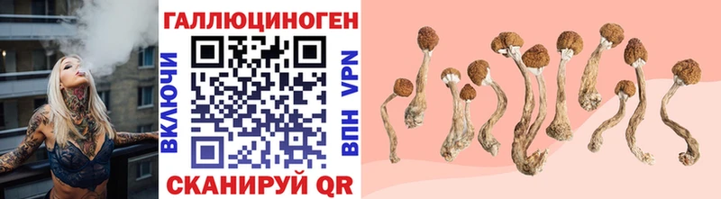 Галлюциногенные грибы Psilocybine cubensis закладки Тюмень