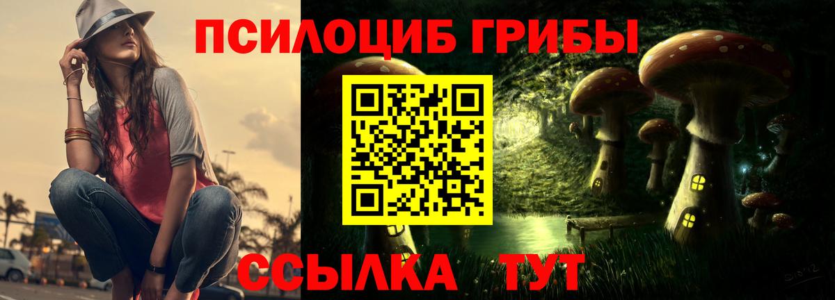 Тюмень  Галлюциногенные грибы MAGIC MUSHROOMS  продажа наркотиков  Вход с VPN 